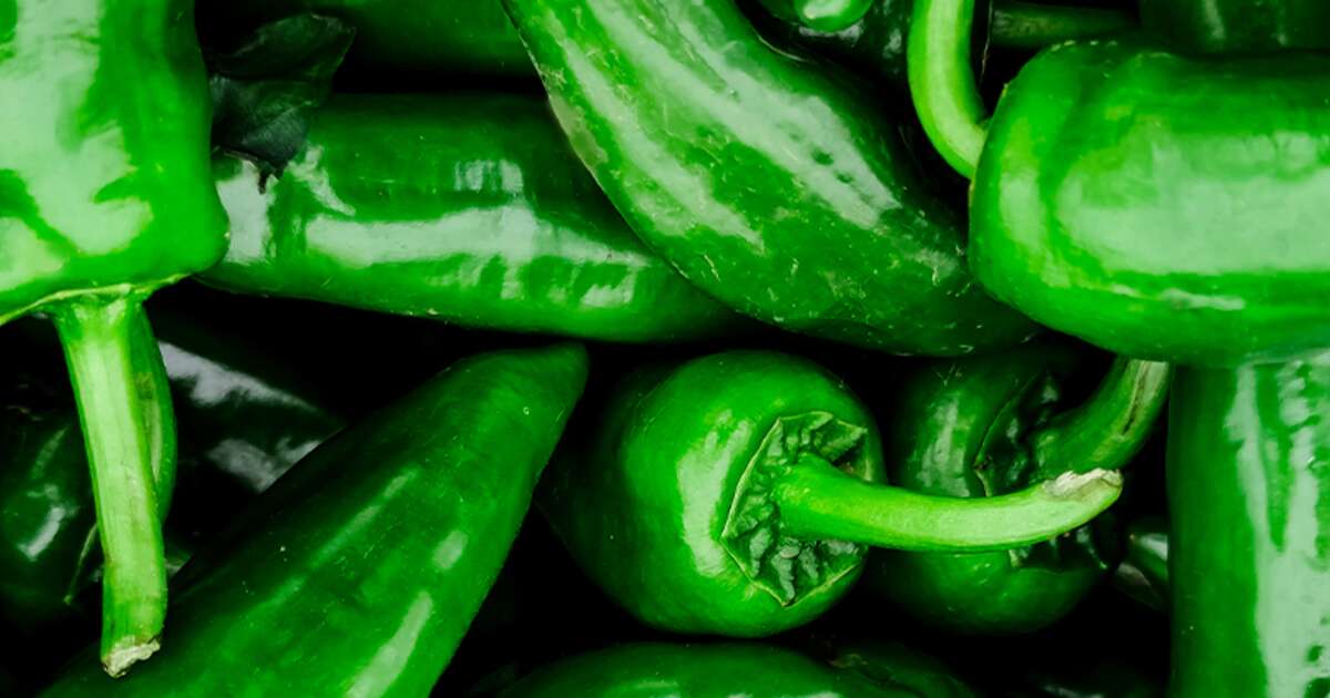 GemüseLexikon Peperoni Carl Kühne KG