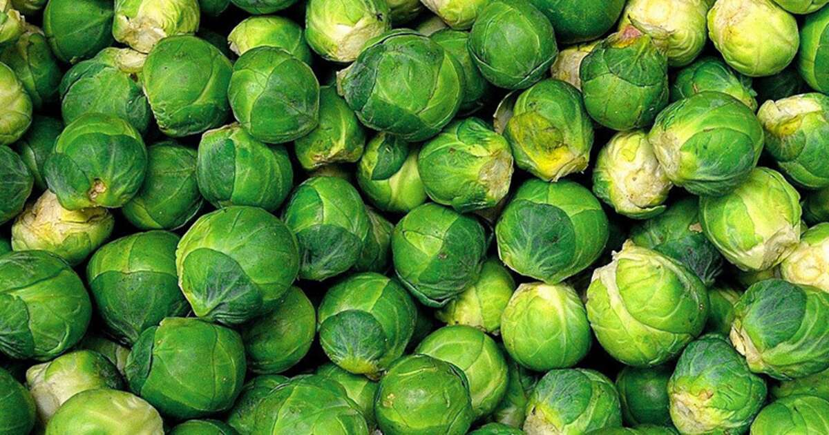was heißt rosenkohl auf englisch