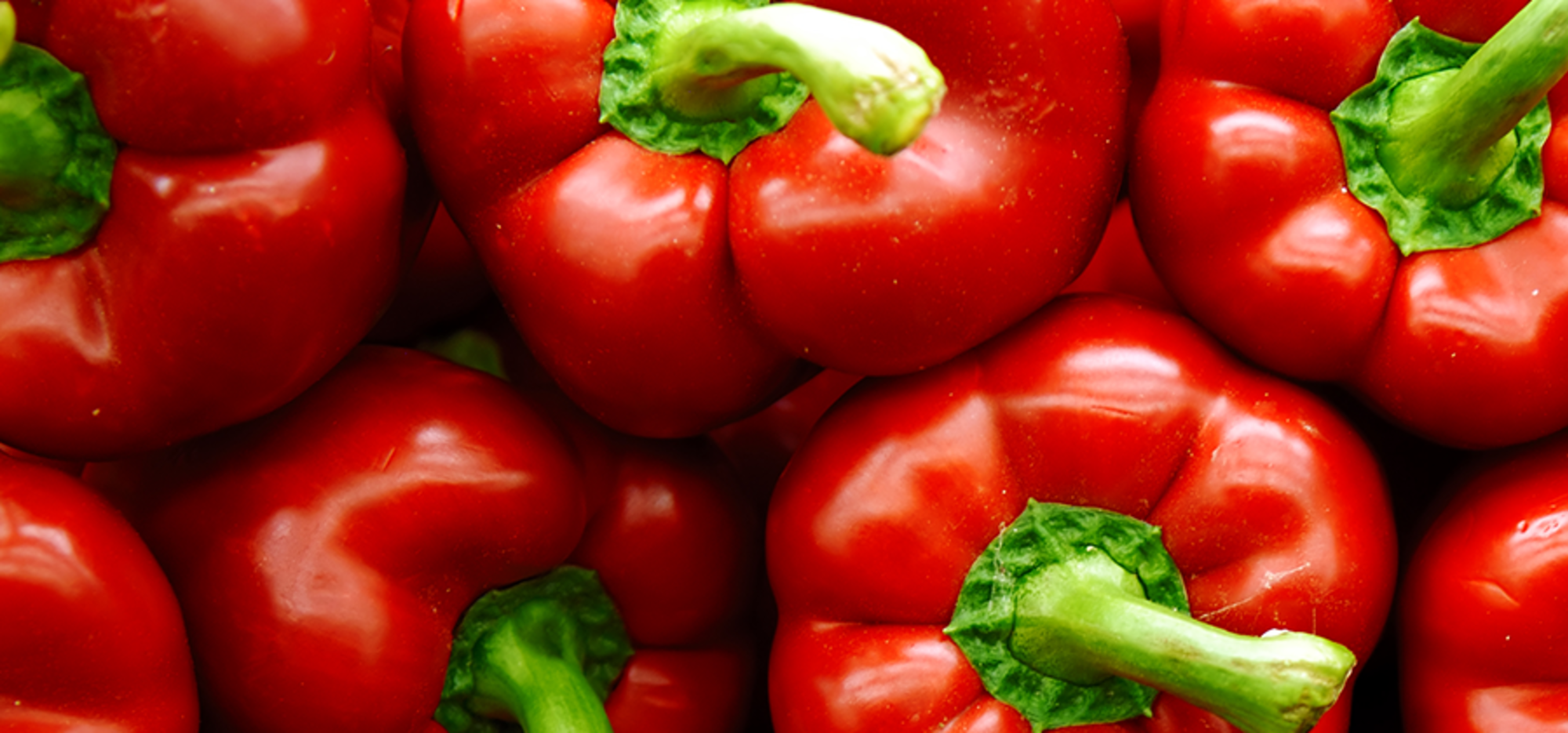 Gemüsesorte: mehrere rote Paprikas